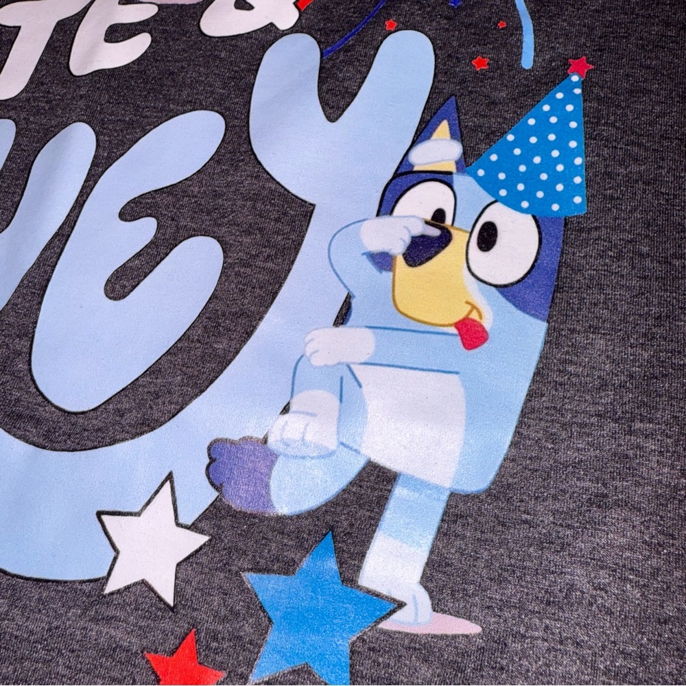Bluey Red White & Bluey Graphic T-Shirt 4th of July USA Bluey Party - Picture 8 of 13